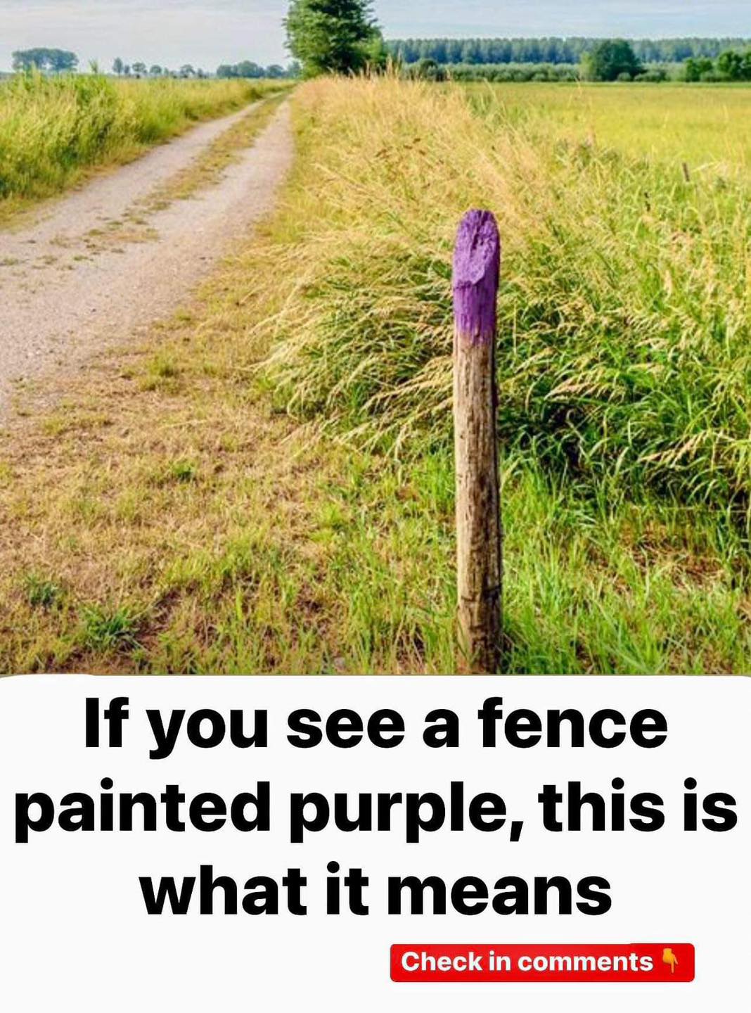 If You See A Fence Painted Purple, You Better Know What It Means – Knowing This Can Save Your Life