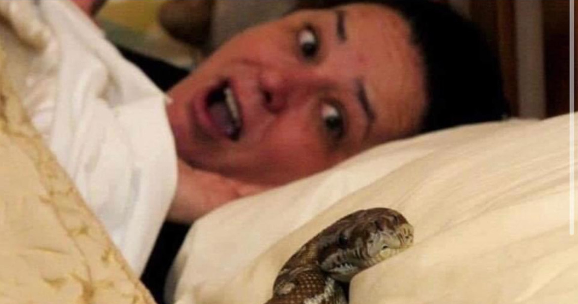 This Woman Slept With Her Pet Snake Every Night Until a Terrible Thing Happened