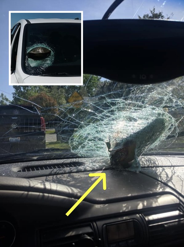 Woman Stunned After Realizing What Crashed Through Her Windshield