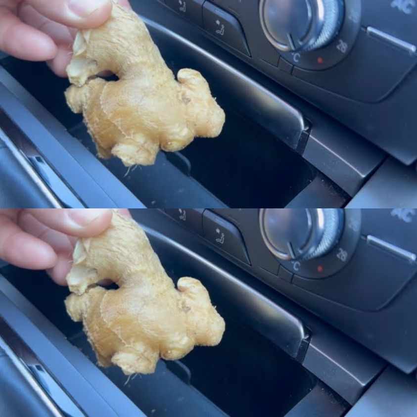 Ginger: Your Secret Weapon in the Car