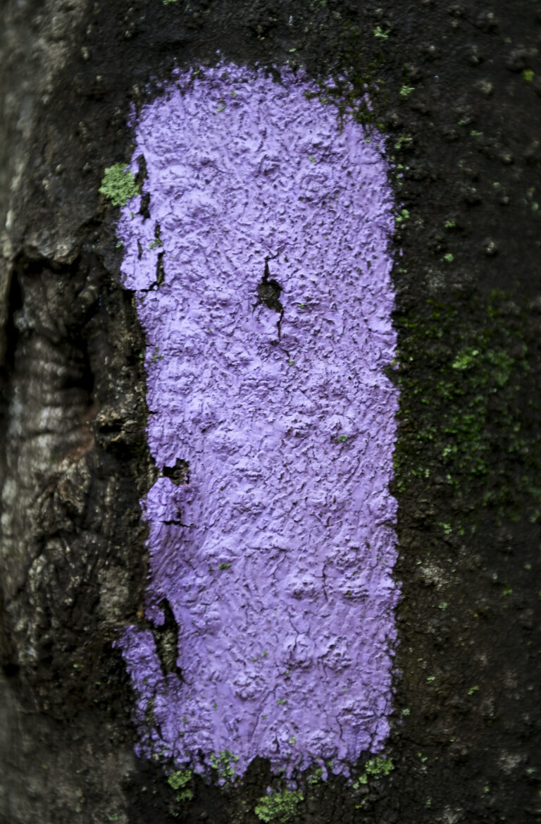 If you see a purple fence post, you need to know what it means