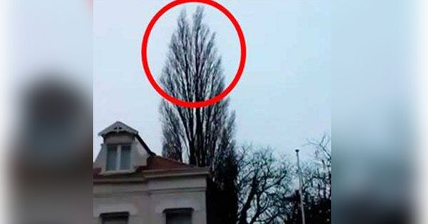 Prepare to be Amazed by the Magic of Everyday Life