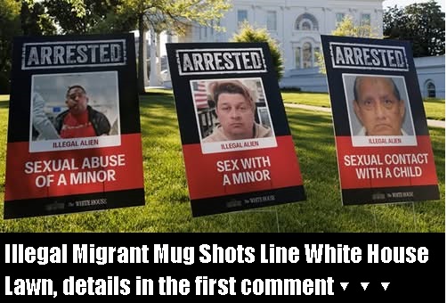 Illegal Migrant Mug Shots Line White House Lawn