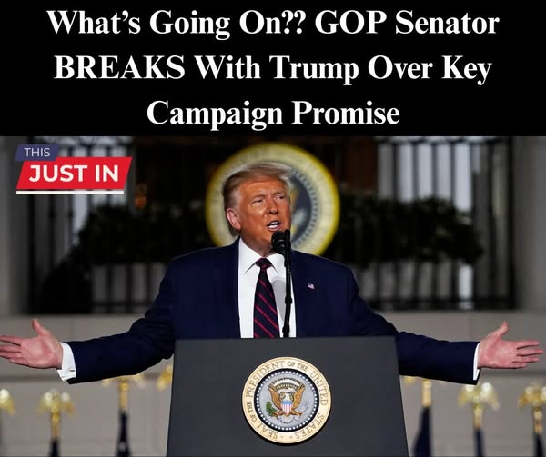 GOP Senator Breaks With Trump Over Tariffs