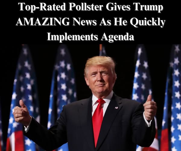 Pollster Luntz Reveals What ‘Key Voters’ Think About Trump’s Second Term Agenda