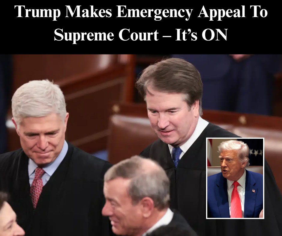 Trump Makes Emergency Appeal To Supreme Court – It’s ON