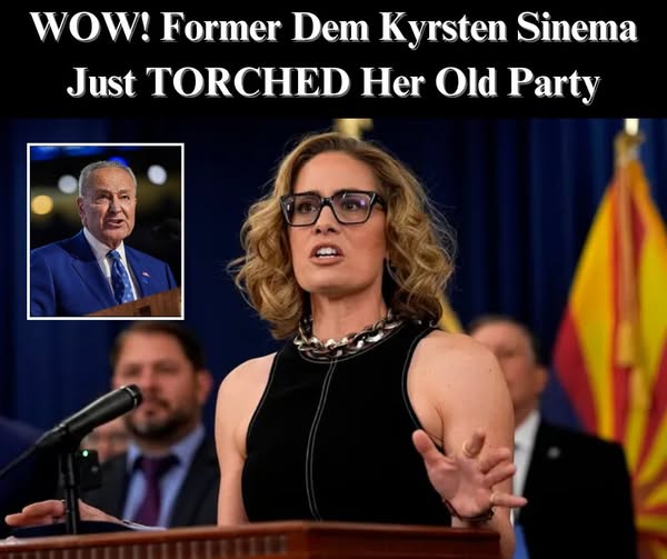 Kristen Sinema Resurfaces To Call Out Her Former Democrat Party