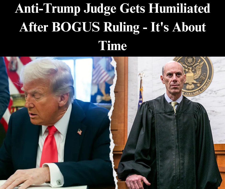 Appeals Court Blocks Anti-Trump Judge’s Contempt Case