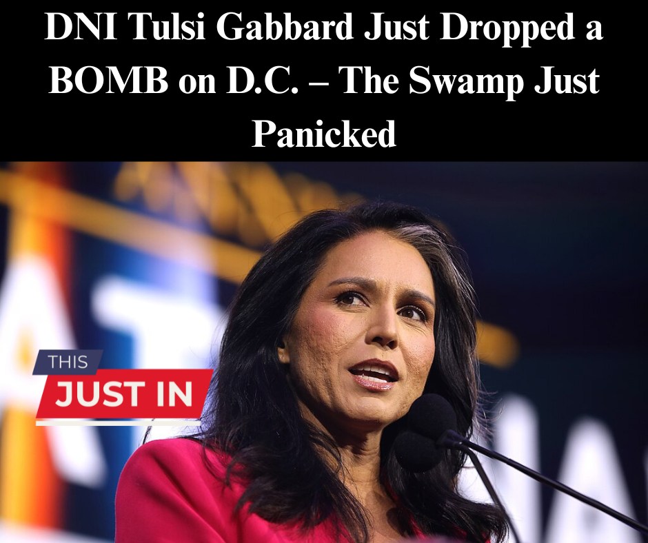 DNI Tulsi Gabbard Just Dropped a BOMB on D.C. – The Swamp Just Panicked