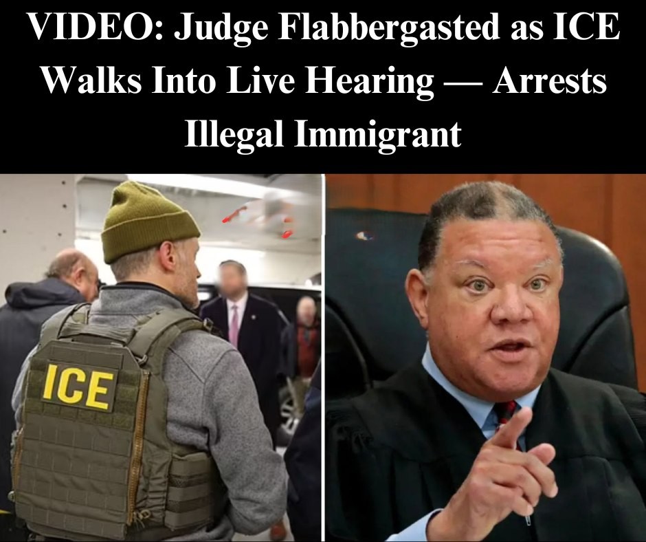 Judge Holds ICE Agent In Contempt For Detaining Illegal Migrant During Trial