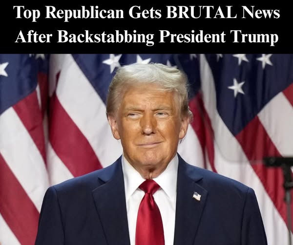 Majority Of Maine Voters Don’t Want Collins To Run Again