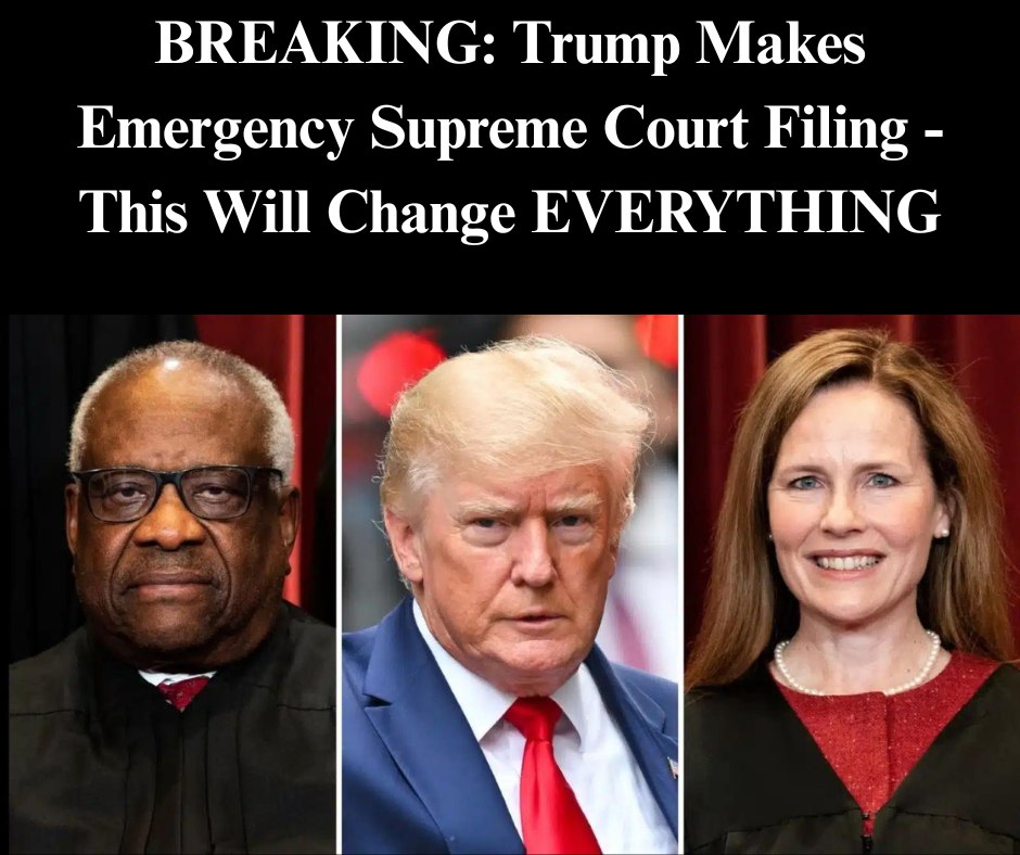 Trump Admin Asks Supreme Court To Step In On DOGE Case