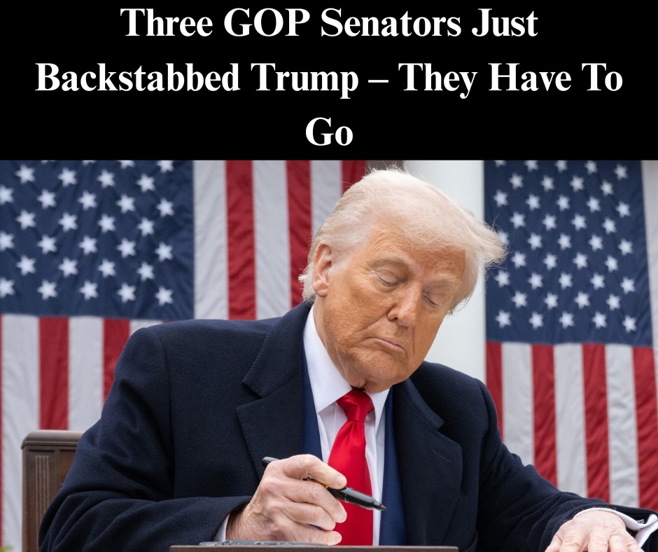 Senate GOP Leaders Succeed In Protecting Trump Tariffs