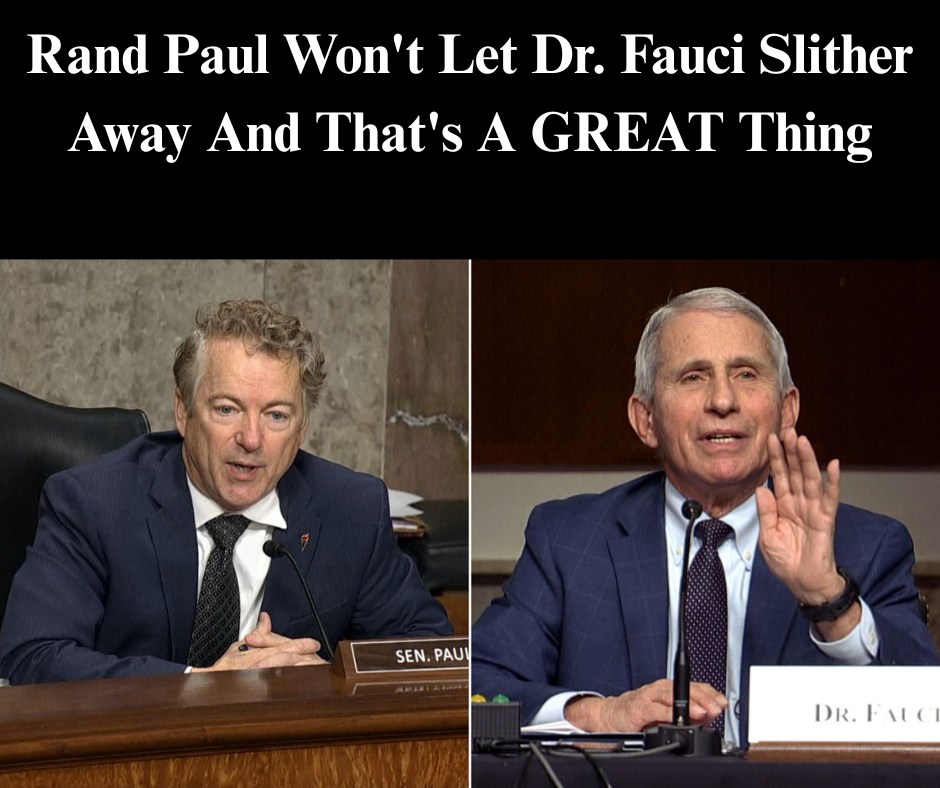 Rand Paul Won’t Let Dr. Fauci Slither Away And That’s A GREAT Thing