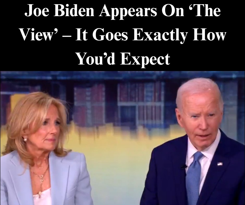 Joe Biden Appears On ‘The View’ – It Goes Exactly How You’d Expect