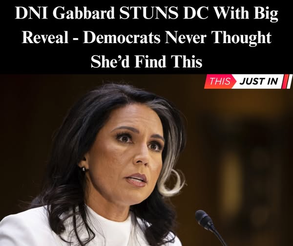 DNI Gabbard Reveals Democrat Plot To Deny Americans Key Right