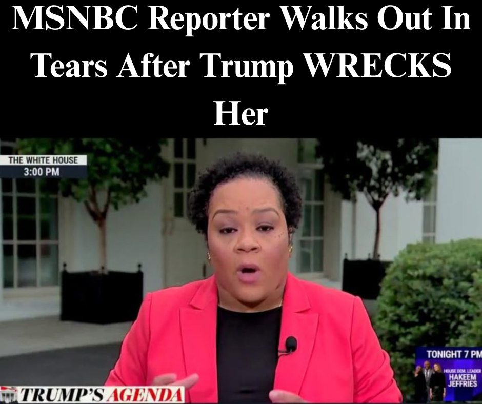 MSNBC Reporter Hyperventilates As Trump Allows White South Africans Into US
