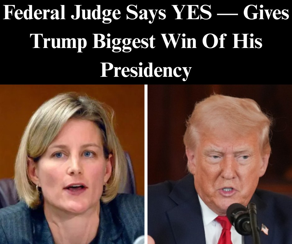 Federal Judge Allows Trump To Use IRS Data To Track Down Illegal Immigrants