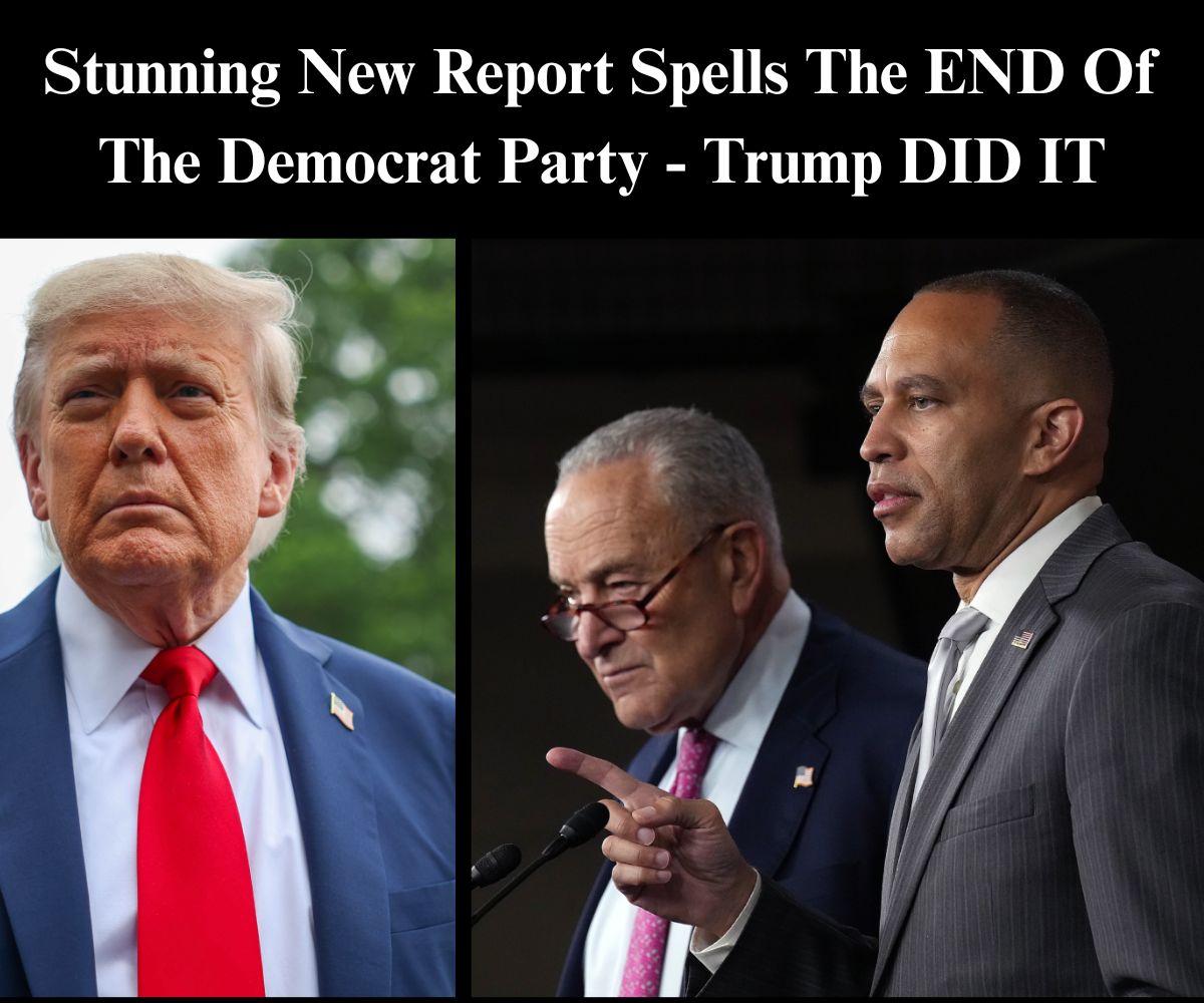 New Report Shows Democrat Party In Shambles In Trump Era
