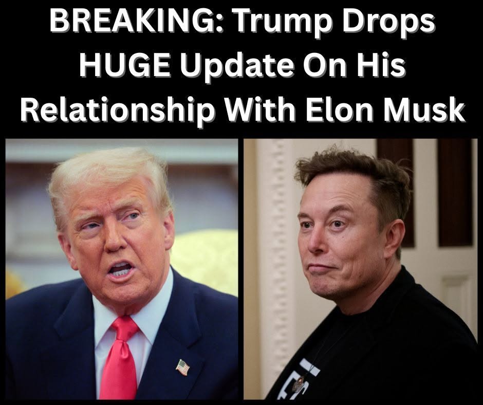 SEE IT: Trump Gives Update On Relationship With Musk After Spat