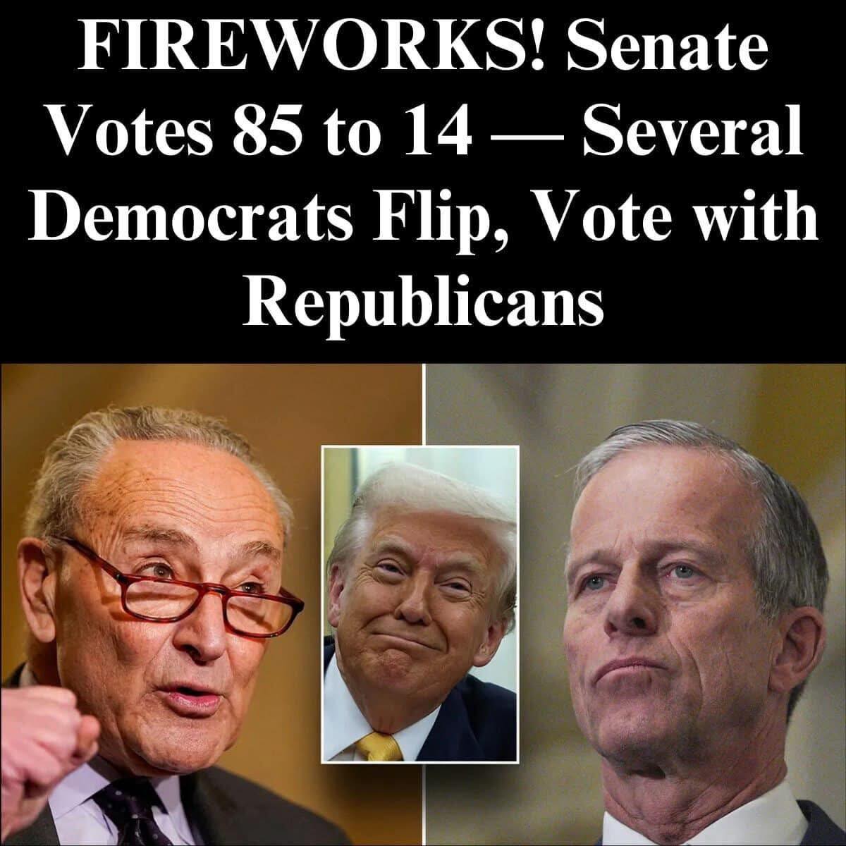 Some Dems Defect, Vote Against Defense Authorization Act Over Trans Issue