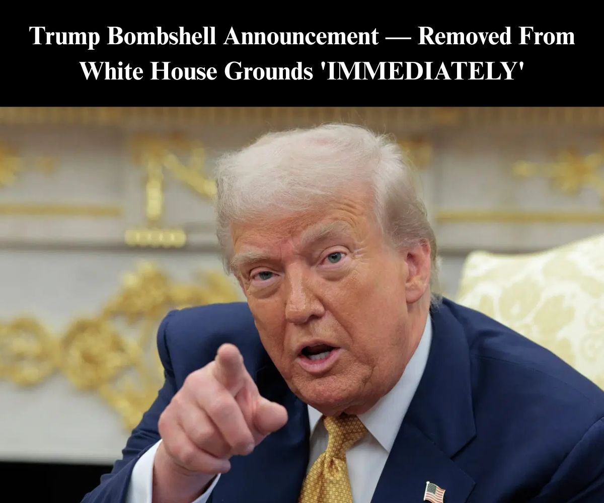 Trump Signs Order to Remove Homeless From Streets, Into Treatment Centers
