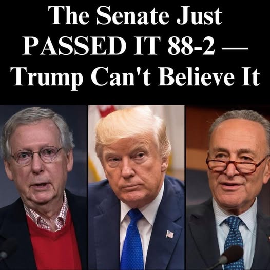 Nearly Unanimous Senate Decision Stuns Everyone — Including Trump
