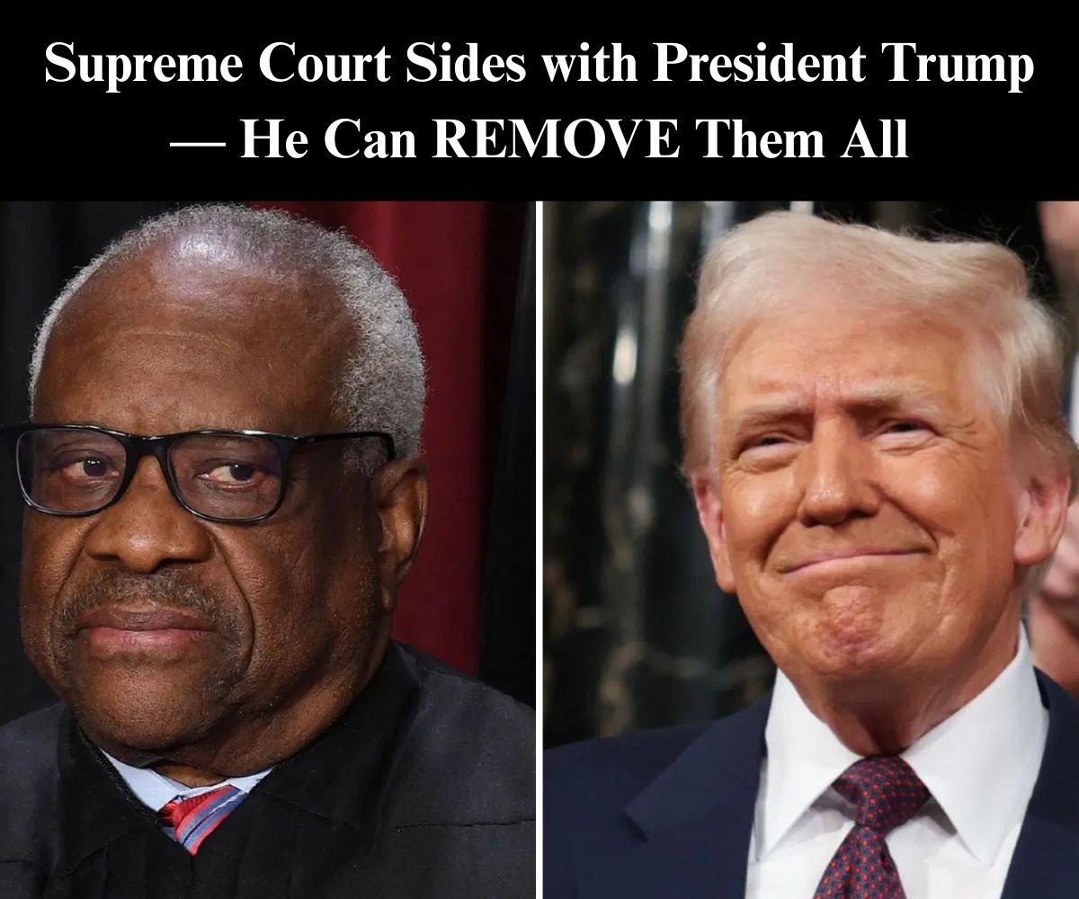 Supreme Court Sides With Trump On Firing of Three Democrat Appointees