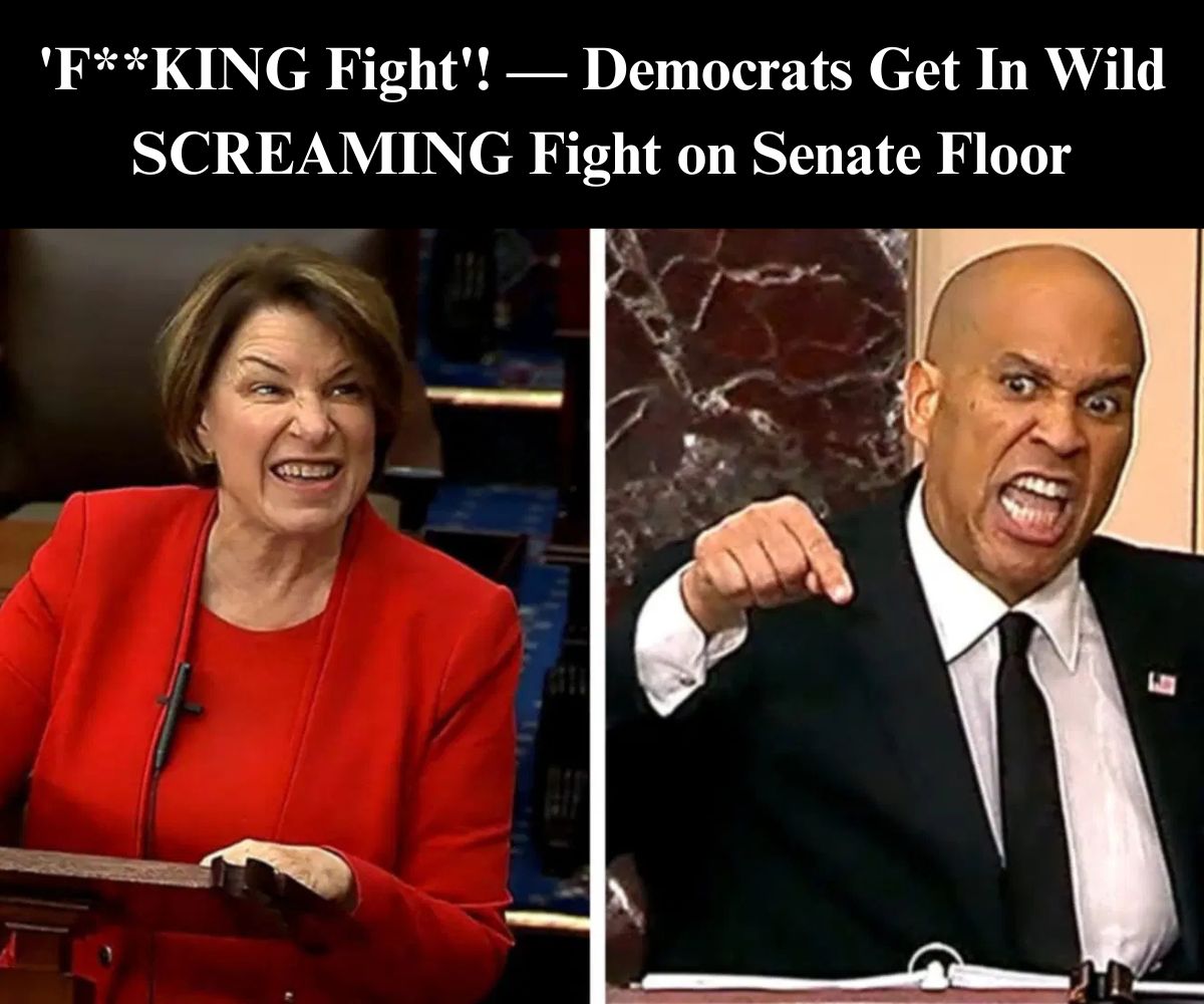 Cory Booker Fights With Fellow Senate Dems Over Trump: Report