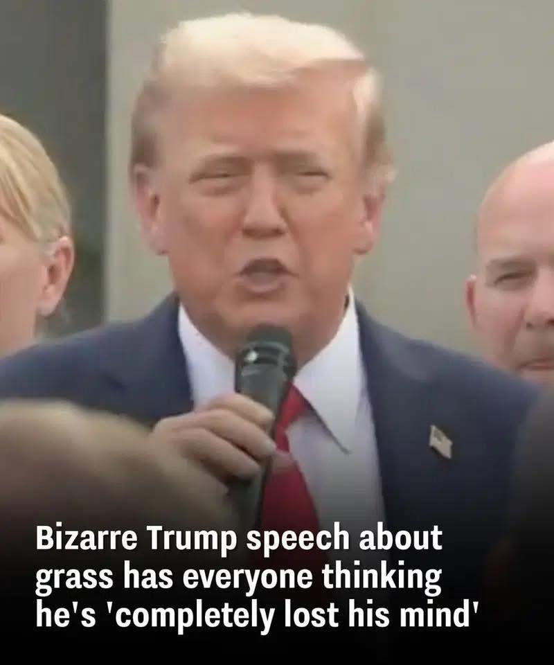 Bizarre Trump speech about grass has everyone thinking he’s ‘completely lost his mind’