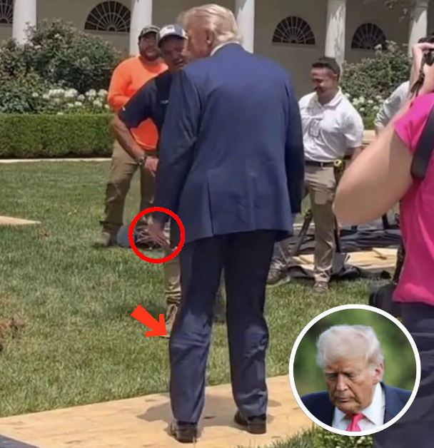 Photo Of Trump At White House Rose Garden Turns Heads After People Spot this Small Detail