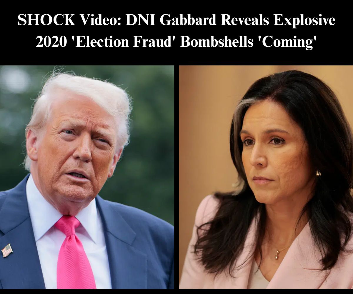 Gabbard Hints At Coming 2020 ‘Election Fraud’ Revelations