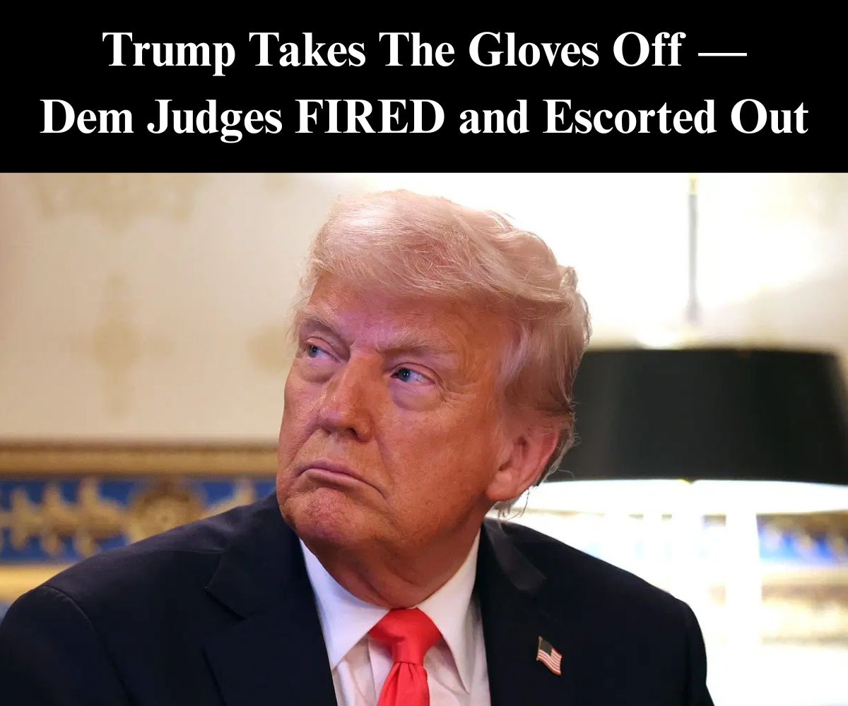 Trump Clearing Immigration Courts as ‘Judicial Swamp’ Facing The Music