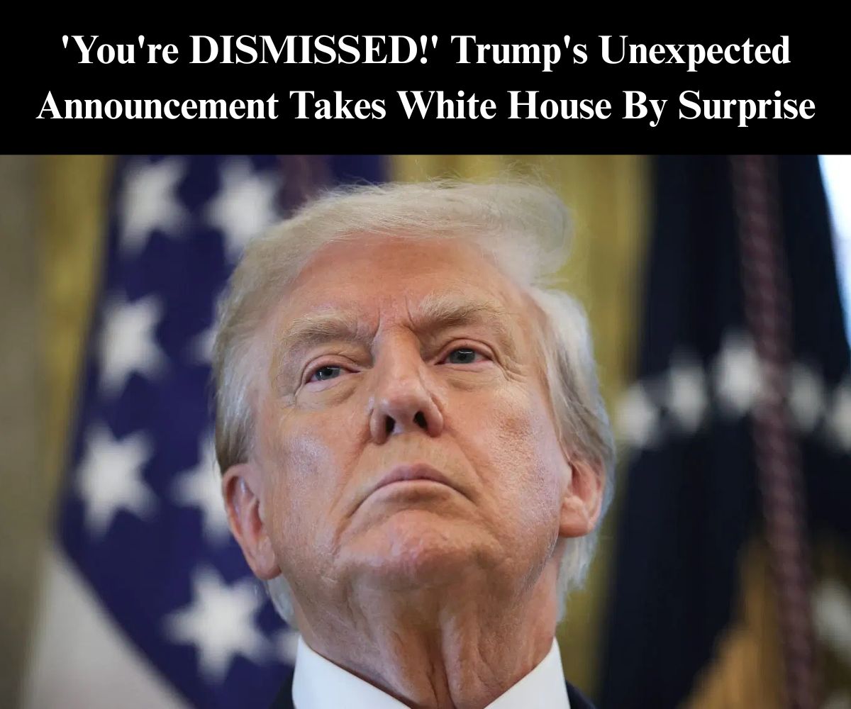 Trump Reappoints Newly-Minted IRS Commissioner to Ambassadorship