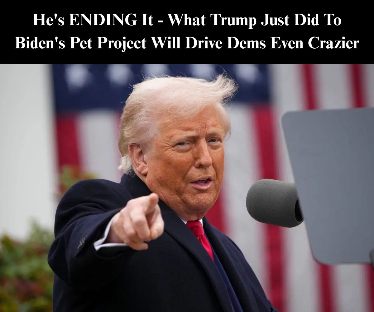 Trump Admin Stops Idaho Wind Farm Approved Under Biden