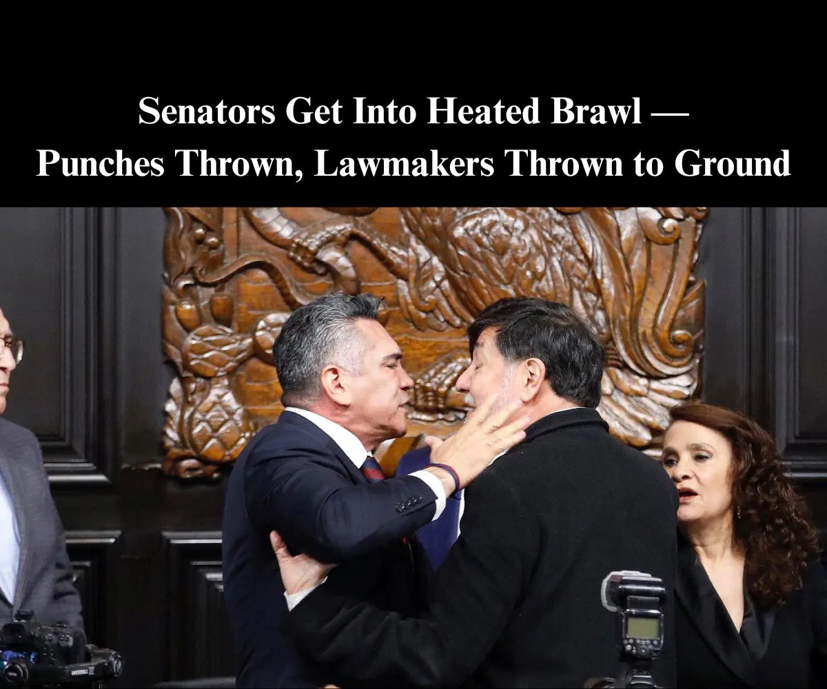 Mexican Senators Brawl — Punches Thrown, Lawmakers Shoved