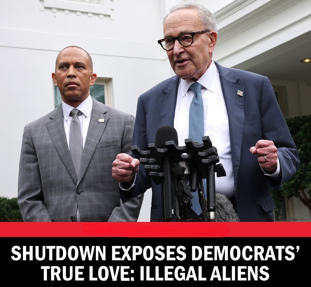 Shutdown Exposes Democrats’ True Love: Illegal Aliens