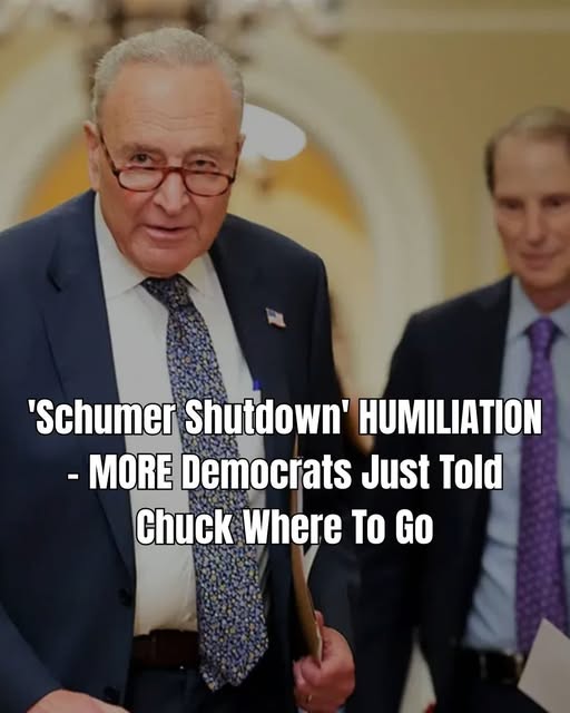 Oh, LOOK: Another Democrat Steps Up to Oppose The ‘Schumer Shutdown’