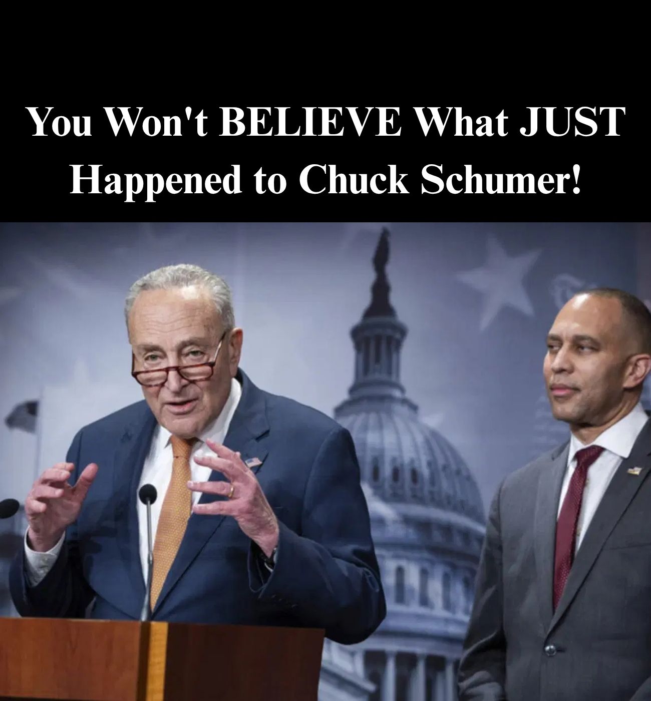 Dems Divided Over Schumer-Led Govt. Shutdown