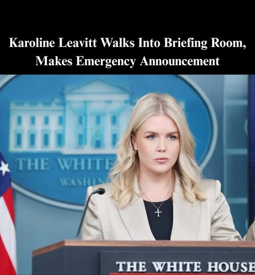 Leavitt Torches Kaitlan Collins Over Trump’s Portland Plan: ‘Go See It For Yourself’