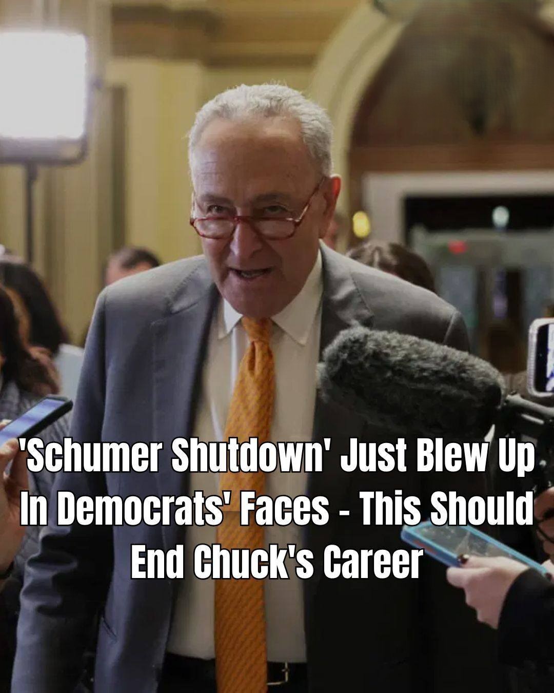 Dems Trying Hard To Sell One Point About ‘Schumer Shutdown’…But They Can’t
