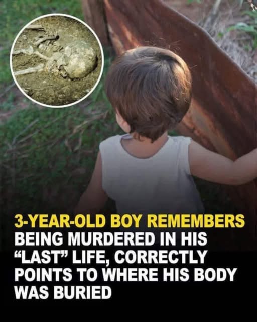 Three-year-old boy makes astonishing claim! 😱👀