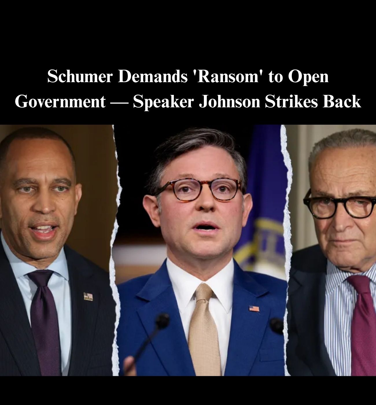 Johnson Exposes Schumer’s ‘Secret’ Offer to Re-Open Government