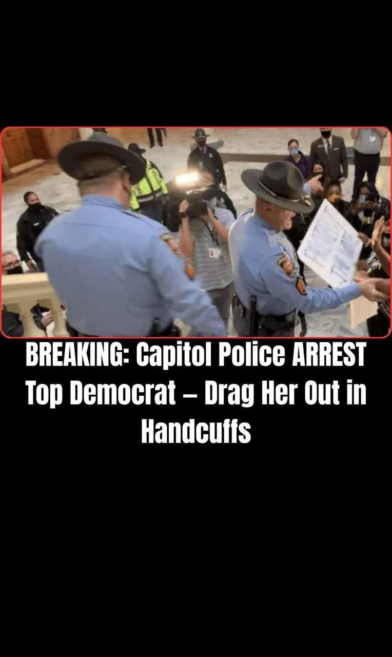 Georgia Democratic Official Arrested, Charged With Felony Theft